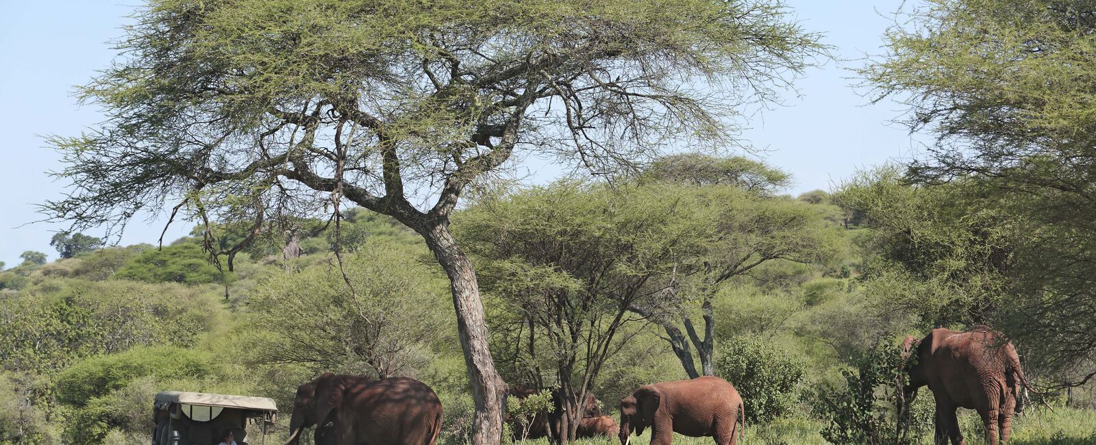 Tarangire National Park